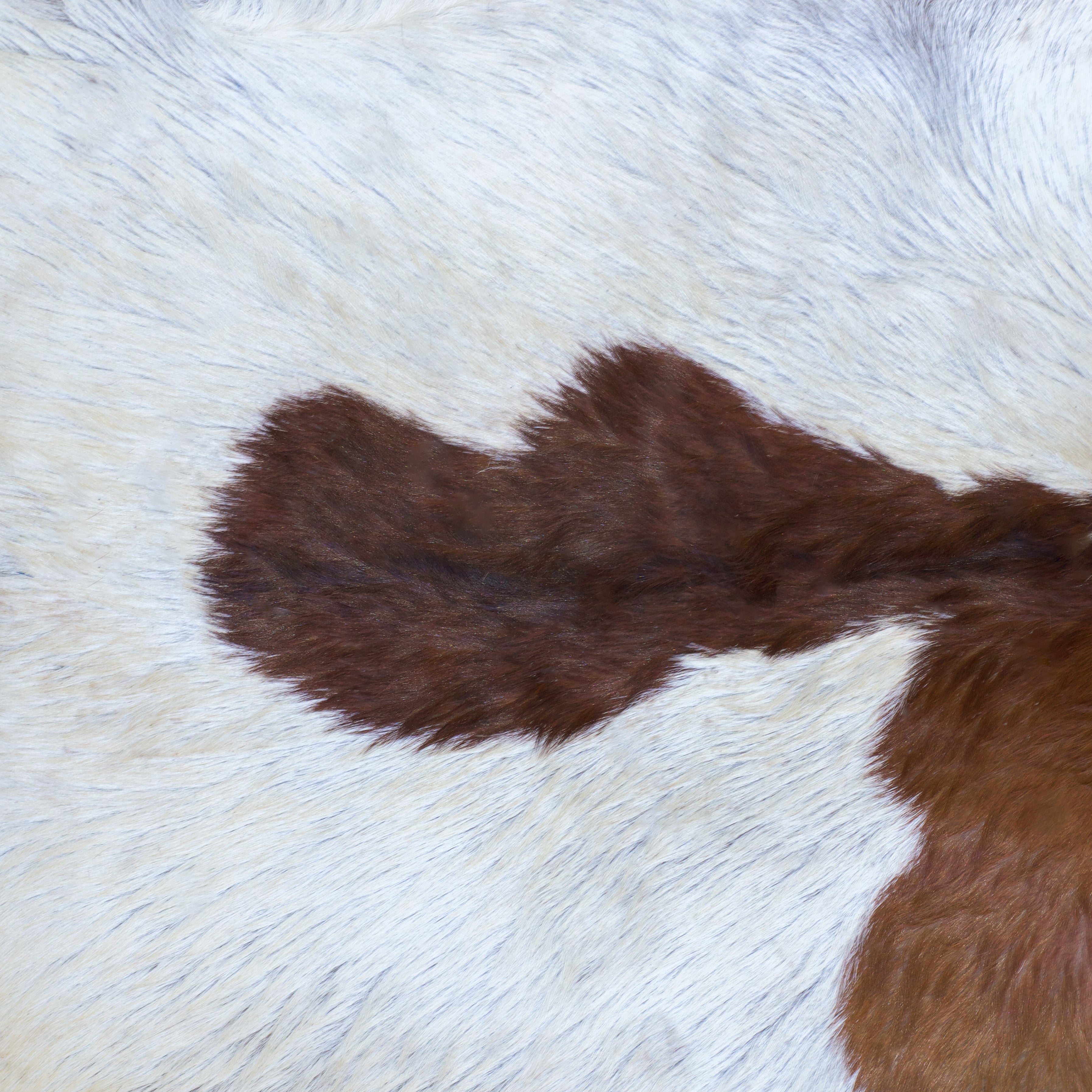 Goat skins (djembe replacement skins)