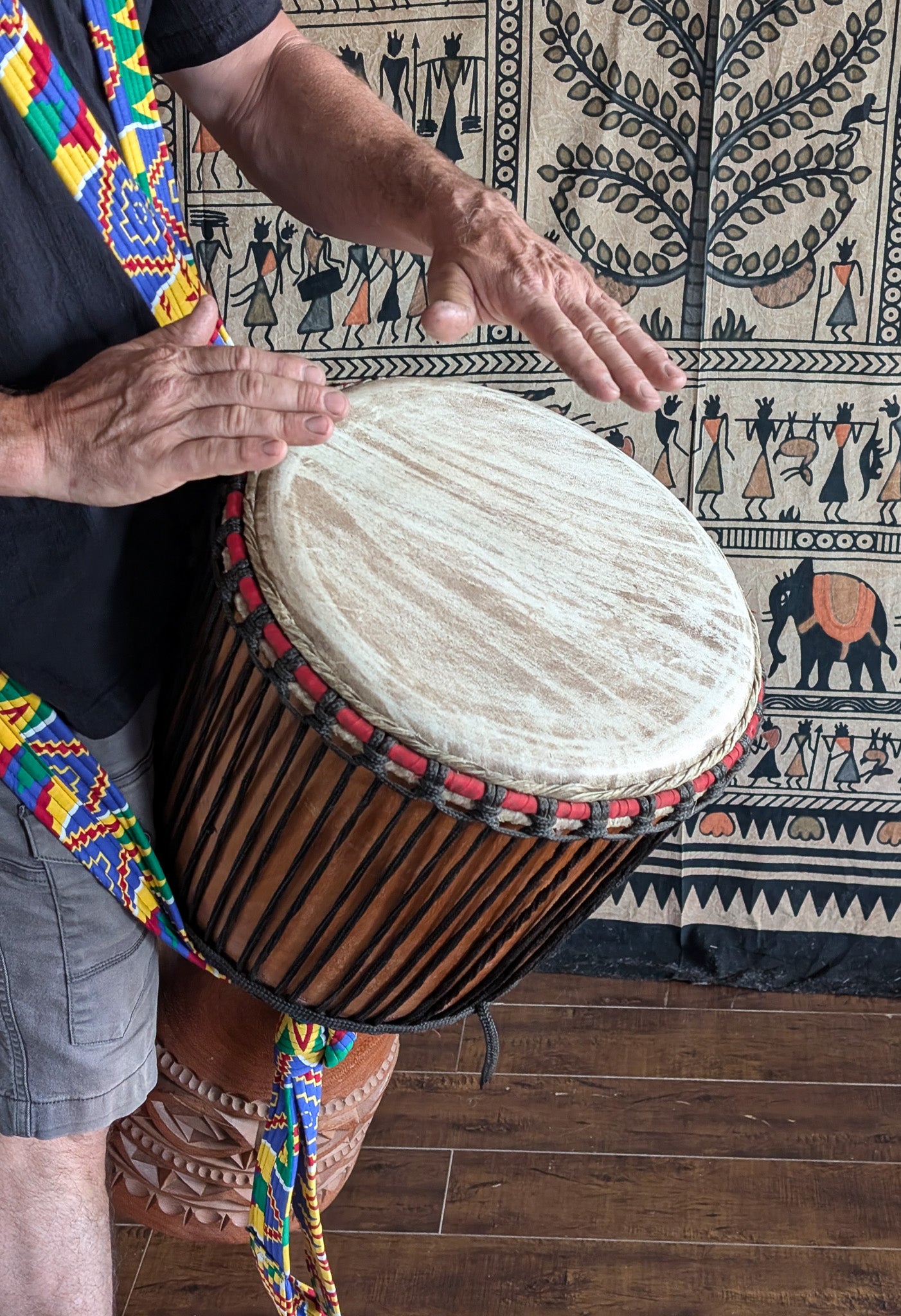 Djembe Pro "The African Lion" 13 1/2 inches