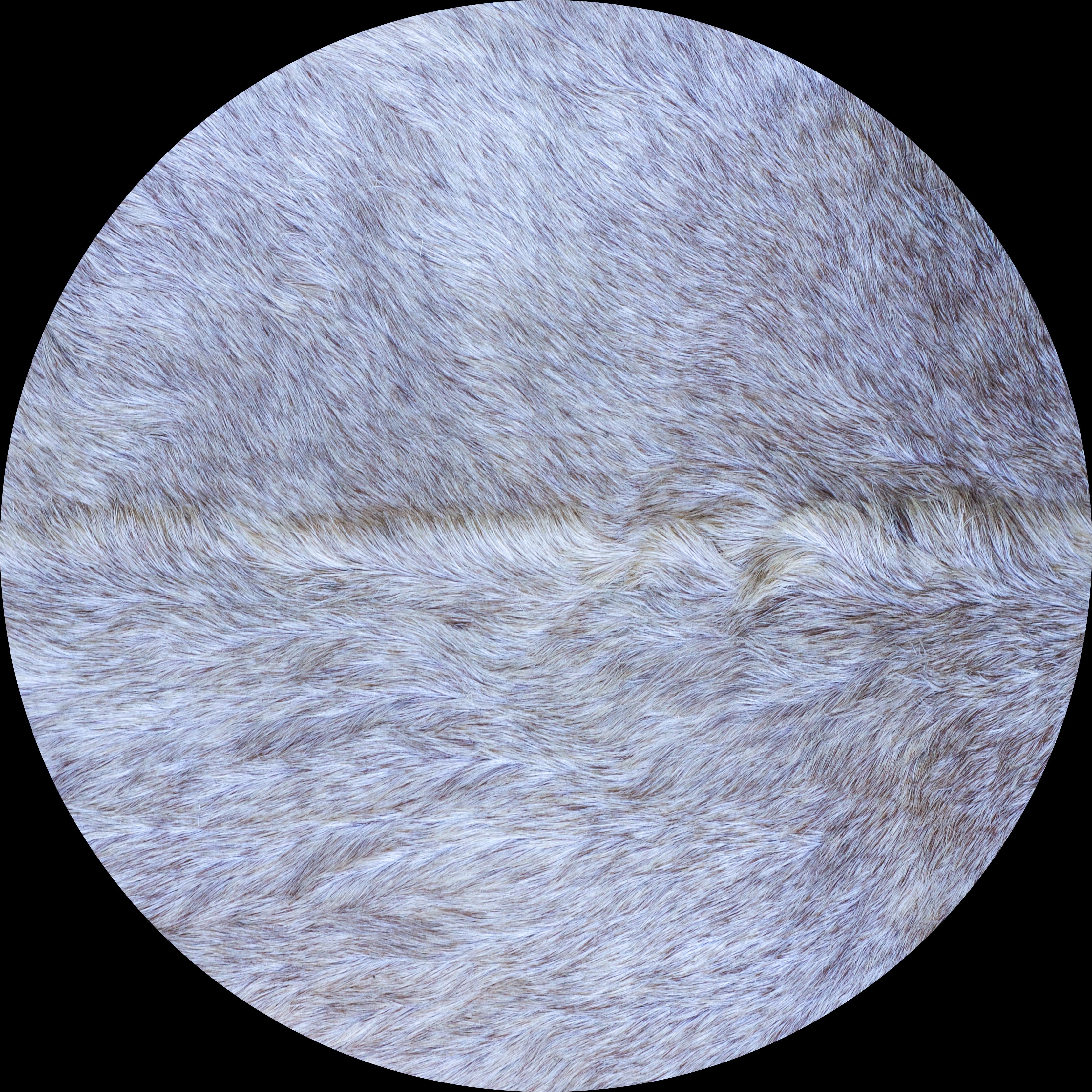 Goat skins (djembe replacement skins)